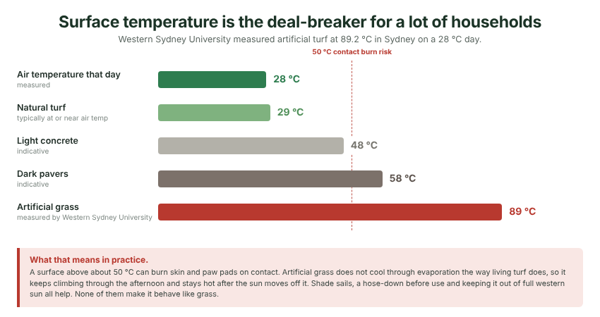 The 89.2 °C reading was taken in Sydney by Western Sydney University on a 28 °C day.