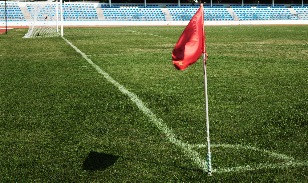 Turf vs Artificial Grass in Sydney: Which Should You Choose?