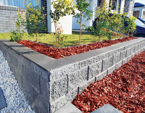 Garden--Lawn